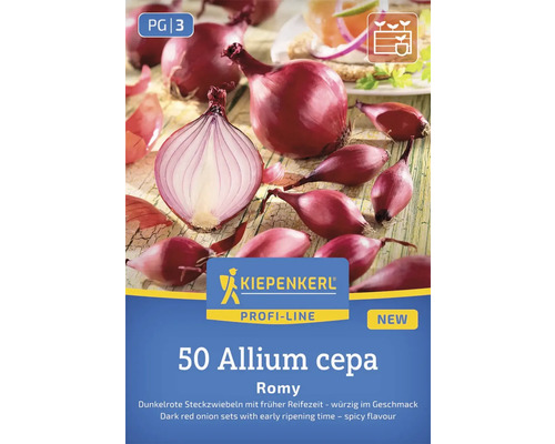 Cibuľoviny Kiepenkerl 'Red Ray' 50 kusov 50 červených cibúľ odrody Allium cepa Romy