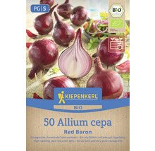 Kiepenkerl Red Baron Bio cibuľka sadzačka, 50 kusov