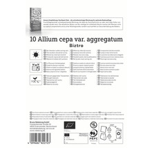 Balenie 10 ks Allium cepa var. aggregatum Biztro cibuliek, s informáciami o stanovišti, výsadbe a vlastnostiach