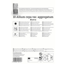 Balenie Allium cepa var. aggregatum Biztro s informáciami o umiestnení, výsadbe a vlastnostiach