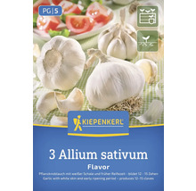 Kiepenkerl Cesnak sadbový Allium sativum balenie