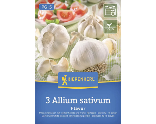 Kiepenkerl Cesnak sadbový Allium sativum balenie
