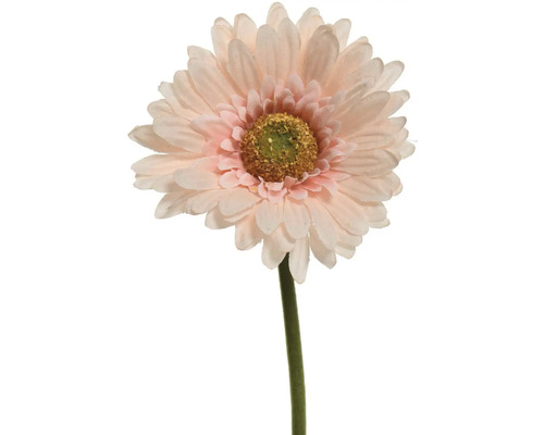 Umelá kvetina gerbery so stonkou