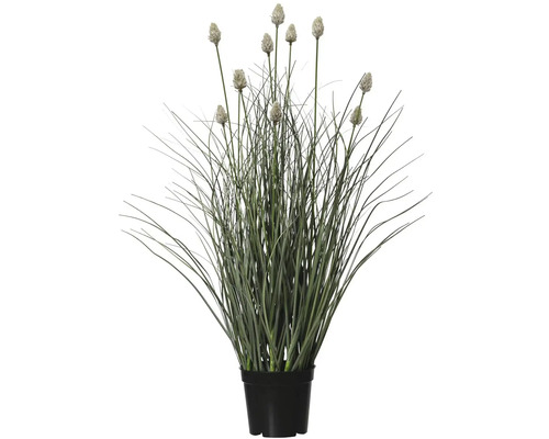 Umelý zelenec v čiernom kvetináči