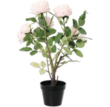 Umelá rastlina ružový krík v čiernom kvetináči