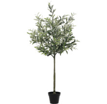 Umelý olivovník v kvetináči