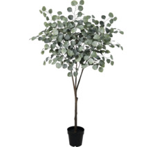 Umelý eukalyptus v kvetináči