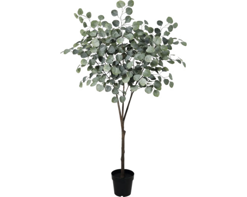 Umelý eukalyptus v kvetináči