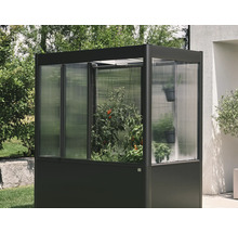 Malý skleník s rastlinami