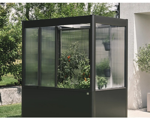 Malý skleník s rastlinami