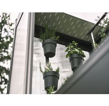 Detailný pohľad na bylinky v kvetináčoch na stene, ktoré tvoria vertikálny záhradný systém.