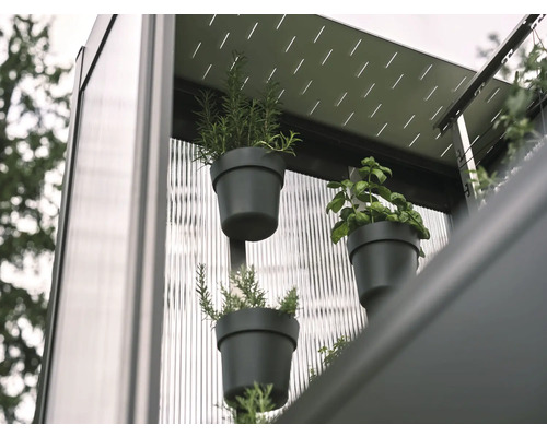 Detailný pohľad na bylinky v kvetináčoch na stene, ktoré tvoria vertikálny záhradný systém.