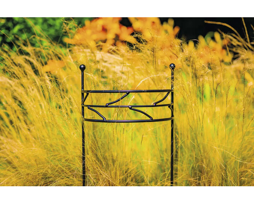 Kovová podpera rastlín v záhradnom záhone