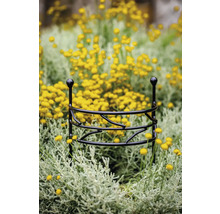 Kovová podpera rastlín v kvetinovom záhone