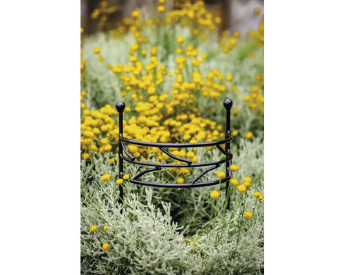 Kovová podpera rastlín v kvetinovom záhone