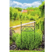 Záhrada s podperou rastlín v záhone