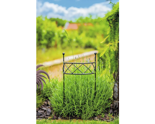 Záhrada s podperou rastlín v záhone