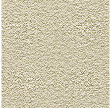 Detail steny s omietkovou štruktúrou