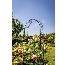 Kovová ružová pergola v záhrade s ružami