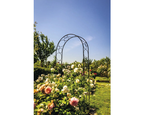 Oblúk na ruže kovový 124 x 244 cm čierny Kovová ružová pergola v záhrade s ružami