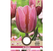 Balenie 6 tulipánov odrody Pretty Princess