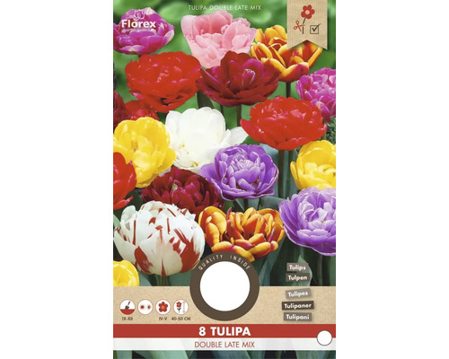 Balenie tulipánov odrody Double Late Mix
