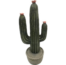 Dekoratívny kaktus pre vnútorné použitie s kvetináčom