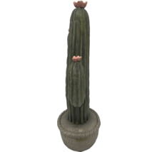 Dekoratívny kaktus do interiéru v kvetináči