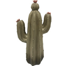 Dekoratívny kaktus s kvetmi do interiéru