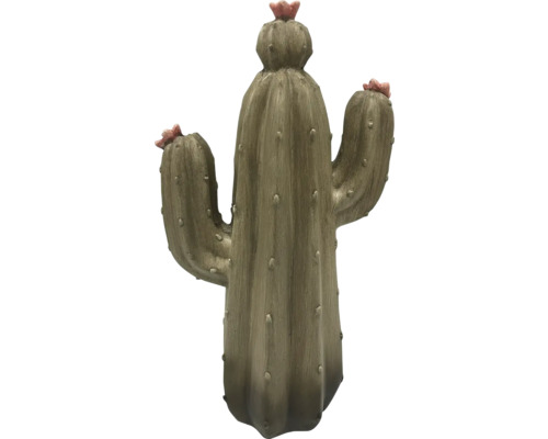 Dekoratívny kaktus s kvetmi do interiéru