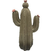 Dekoratívny kaktus s kvetmi do interiéru