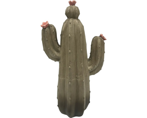 Dekoratívny kaktus s kvetmi do interiéru