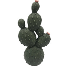 Dekoratívny kaktus s kvetmi ako záhradná dekorácia