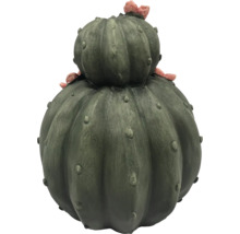 Dekoratívny kaktus pre vnútorné a vonkajšie použitie