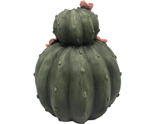 Dekoratívny kaktus pre vnútorné a vonkajšie použitie