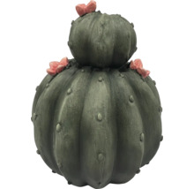 Dekoratívny kaktus s kvetmi pre vonkajšie použitie
