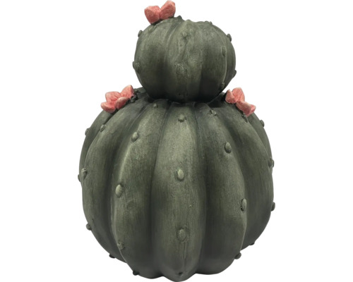 Dekoratívny kaktus s kvetmi pre vonkajšie použitie