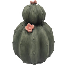 Dekoratívny kaktus do interiéru