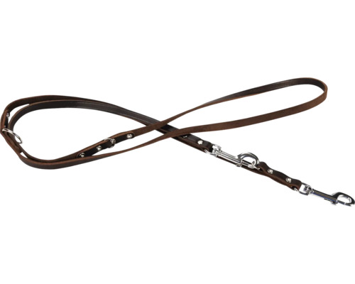 Hnedé kožené vodítko pre psy so striebornými kovaniami.