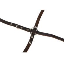 Kožený postroj s kovovými krúžkami a nitmi