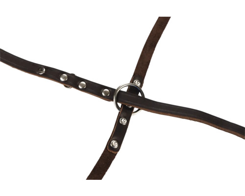 Kožený postroj s kovovými krúžkami a nitmi