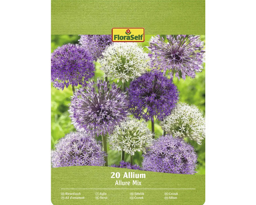 Okrasný cesnak FloraSelf 'Allium Deco mix' 20 ks Balenie okrasného cesnaku Allium Allure Mix s logom FloraSelf