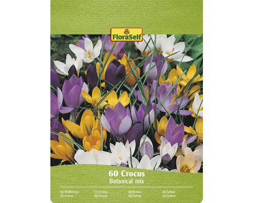 Šafran FloraSelf 'Botanický mix' 60 ks Balenie FloraSelf krokus Botanical Mix, 60 kusov