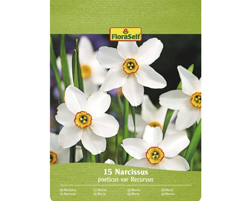 Narcisy FloraSelf Recurvus 15 ks Balenie FloraSelf s 15 narcismi poeticus var Recurvus