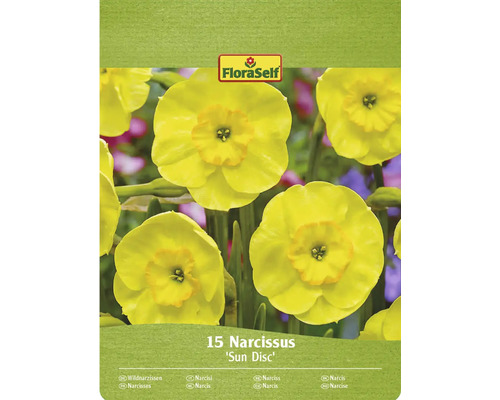 Narcisy FloraSelf 'Sun Disc' 15 ks Balenie 15 narcisov odrody Sun Disc