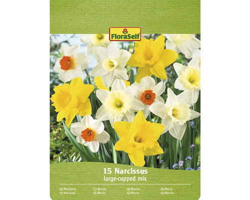 Narcisy mix FloraSelf 10/12 15 ks Balenie zmesi narcisov s 15 cibuľkami