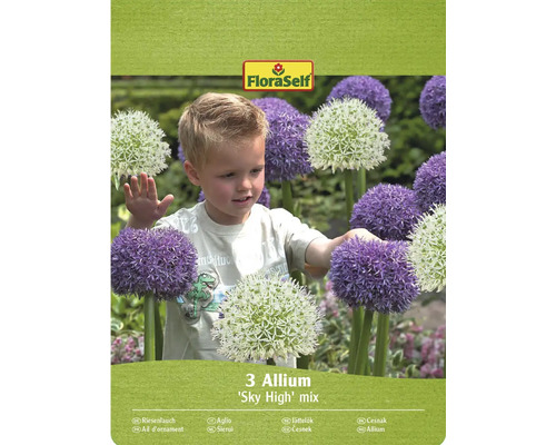 Balenie 3 cibuliek okrasného cesnaku 'Sky High' mix s logom FloraSelf
