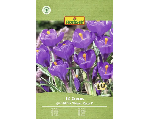 Šafran FloraSelf 'Flower Record' 12 ks Balenie krokusov odrody 'Flower Record' s dvanástimi kusmi a logom FloraSelf.