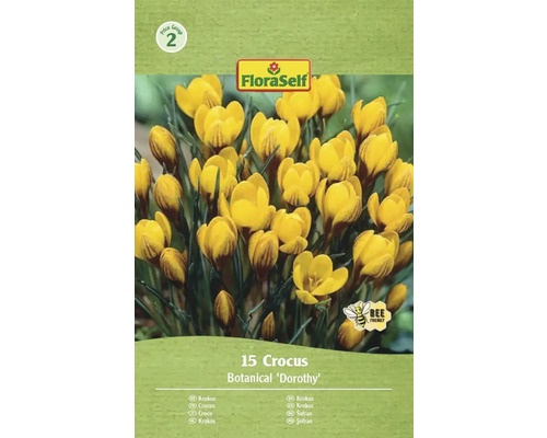 Šafran FloraSelf 'Dorothy' 15 ks Balenie krokusov odrody Botanical Dorothy