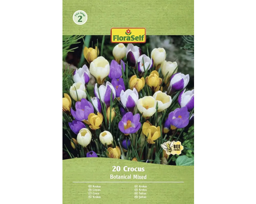 Šafran FloraSelf 'Botanický mix' 20 ks Balenie krokusov s botanickou zmesou, 20 kusov